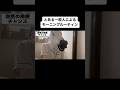 誰もがやってみたいモーニングルーティン動画をやってみた #モーニングルーティン #vlog #一般人