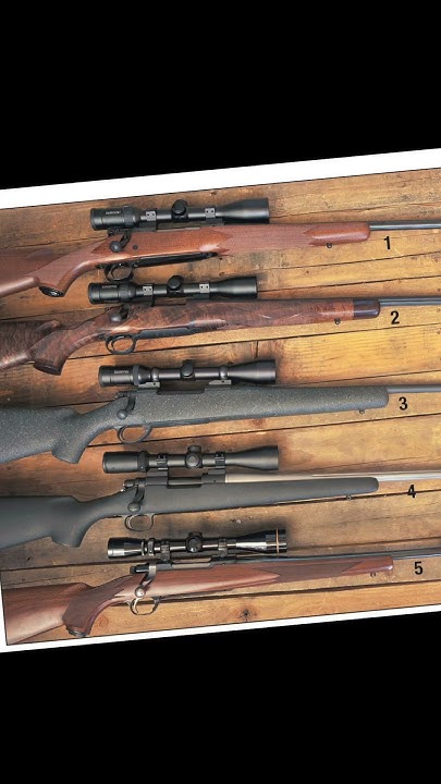 Remington Model 700 Vs Winchester Model 70 Remington 700 vs Winchester m70 what one you picking? #shortvideo #