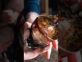 The process of cups made by joining lacquer and glass #japan #handmade #shorts #short #asmr