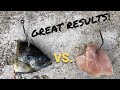 Cut Bait vs. Chicken for Blue Catfish (Hot Bite!)