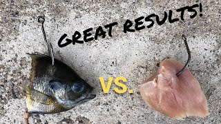 Cut Bait vs. Chicken for Blue Catfish (Hot Bite!)