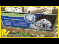 Slender-tailed Meerkat Montage [Riverview Park &amp; Zoo] 🇨🇦