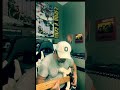 Insane Improv Slap Bass Solo!🔥😎