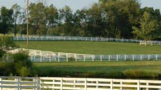 Kentucky Horse Farm for Sale