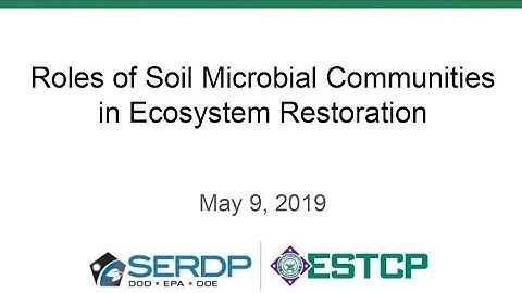 Roles of Soil Microbial Communities in Ecosystem Restoration
