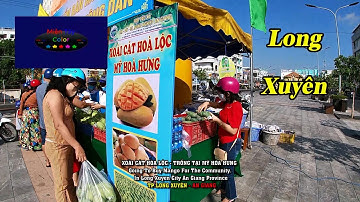 🌞 Xoài Cát Hòa Lộc Nhà Vườn Xoài Xã Mỹ Hòa Hưng Tại TP. Long Xuyên - An Giang. Giá Xoài Co.opmart