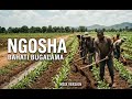 Bahati Bugalama Bhagosha Kolasi Version By Dj Msix 