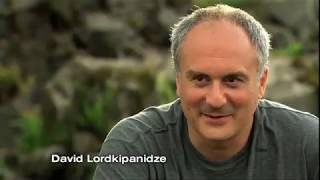 Download Lagu Die spannende Geschichte von Dmanisi -  by David Lordkipanidze MP3 Download Lagu Die spannende Geschichte von Dmanisi -  by David Lordkipanidze MP3