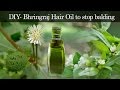 Hair Regrowth Oil | Anti-baldness Oil | Bhringaraj Hair Oil | How to Prepare Herbal Hair Oil at Home