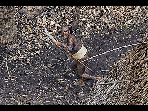 Uncontacted Amazon Tribe That Doesn't Know Our Civilization Exists - YouTube