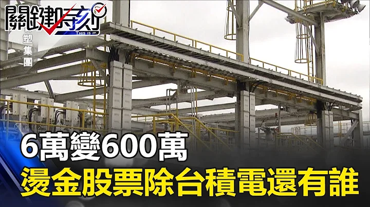 “6万变600万”20年增值100倍 台湾“烫金股票”除了台积电还有谁！？ 关键时刻20170713-1 黄世聪 黄创夏 朱学恒 - 天天要闻