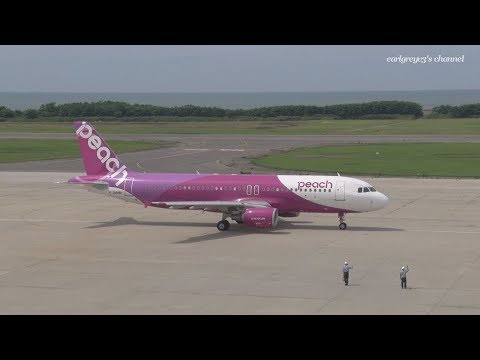 新潟空港 Peach Aviation (APJ) Airbus A320-200 JA818P 2018.7.16  @earlgreyv3