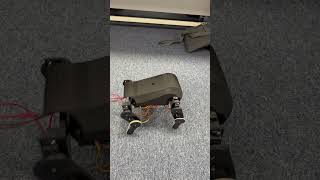 ROCO318 Final Walking Demo