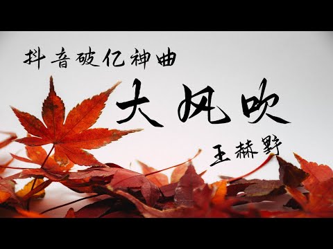 抖音破亿神曲 大风吹 - 王赫野 【高音质/动态歌词/Lyrics】就让这 大风吹 大风吹 一直吹 吹走我心里 那段痛 那段悲