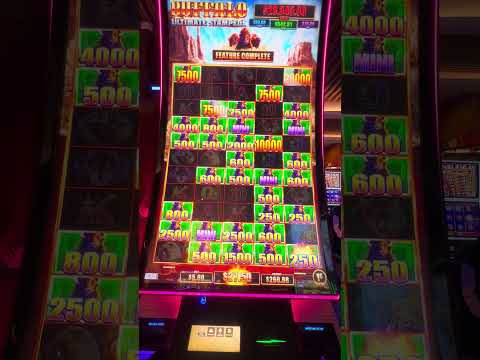 Lady Luck Said I CAN