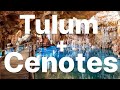 Visitando Cenotes por PLAYA DEL CARMEN Y TULUM - Mexico!