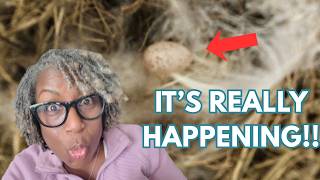 I'm About To Solo Travel For 6 Weeks....This Is Starting Over At 50 | Day 44