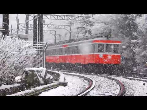 雪が降りしきる中を