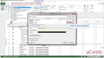 ms project 2013 how to create custom group demo