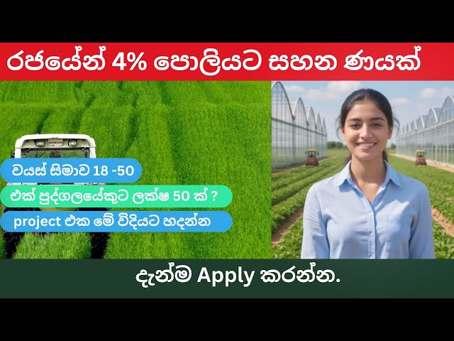 රජයේන් 4% පොලියට ලබාදෙන ණය මුදල ගැන හැමදේම, 4% agri lone #farming #lone #gaverment #entrepreneur