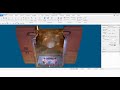 Texture from Color on Point Clouds