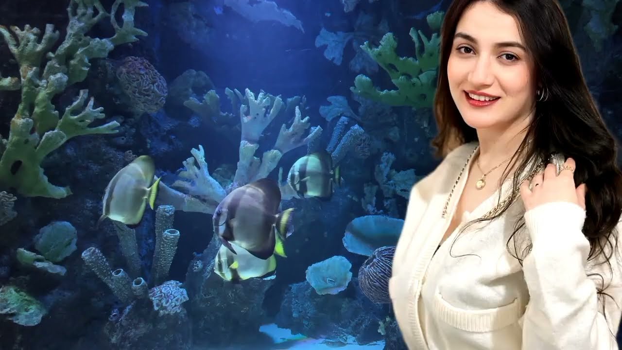 جـ وزى جاب لى صحابه وعـ م يسرى نزل اكل البطيخه 