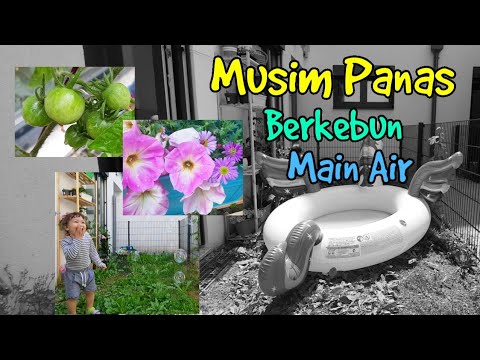 Video: Ke Mana Harus Mengirim Anak Di Musim Panas?