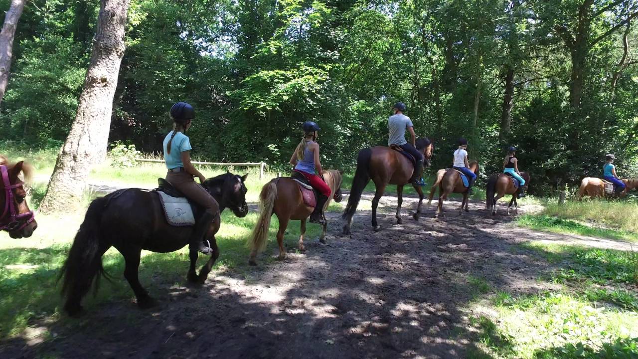 Ponykamp Dag 3 - Manege de Steenen Kamer