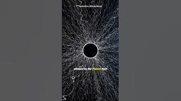 What is INSIDE a Black Hole?