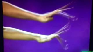 Pete Burns Selfie (Backwards)