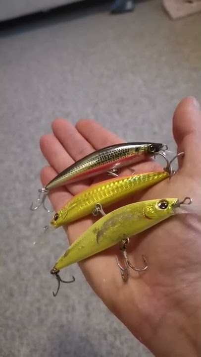 Quick Lure Reviews 