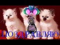 Татьяна Буланова. День Рождения! - ремикс (А. Иванов-Д. Рубин)