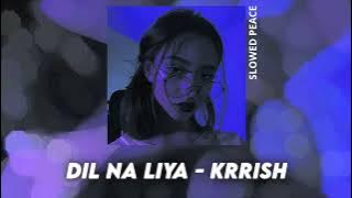 Dil Na Liya - Krrish (Perfect Slowed) | Reverb (Bonus)
