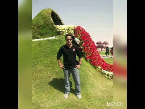 Dubai Miracle Garden 2013 || May Cadus