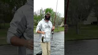 Why James Niggemeyer Loves Springtime Bass Fishing #shorts