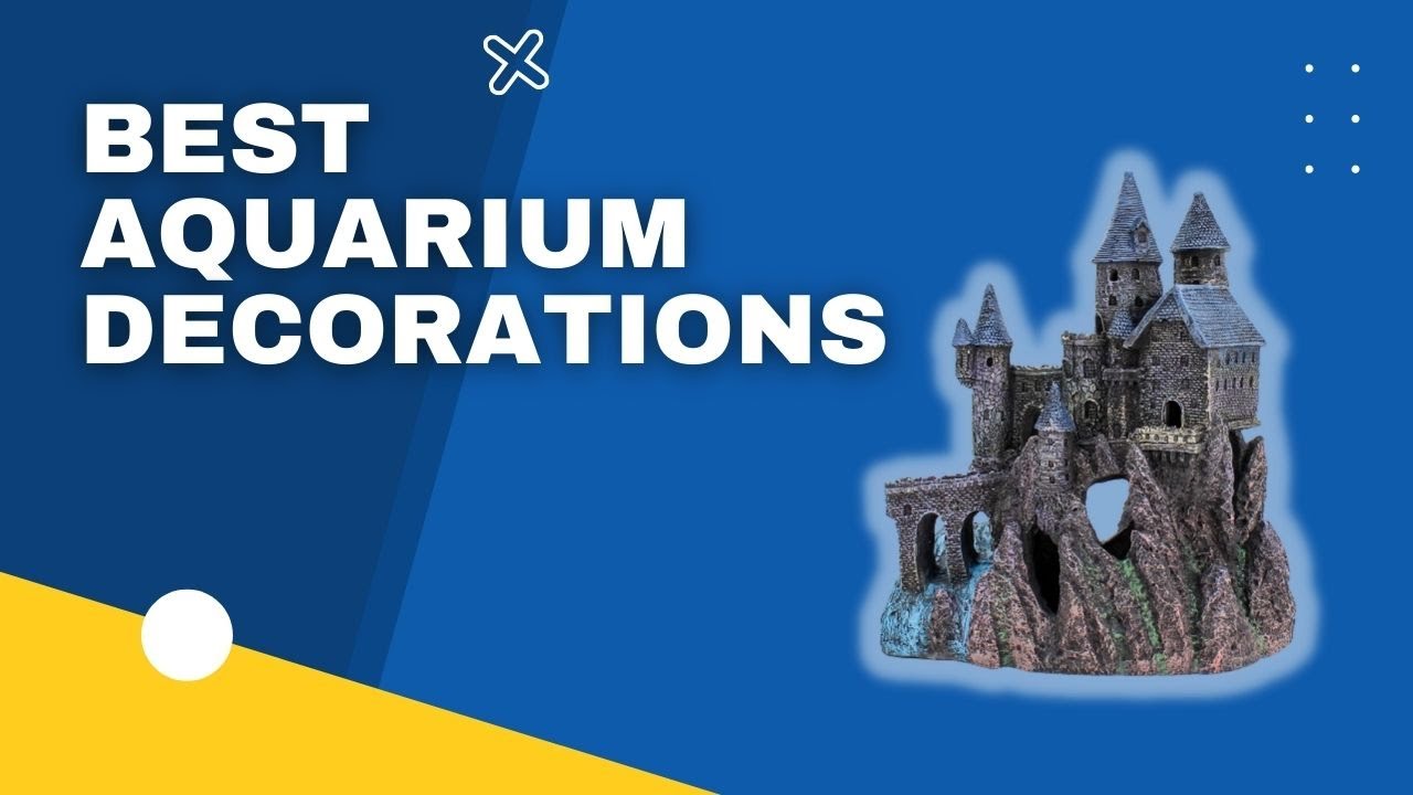 Top 3 Best Aquarium Decorations in 2023
