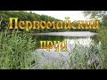 Обзор Первомайского пруда (Елецкий район) Места для рыбалки в Липецкой области