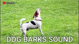 DOG BARKS SOUND suara anjing menggonggong