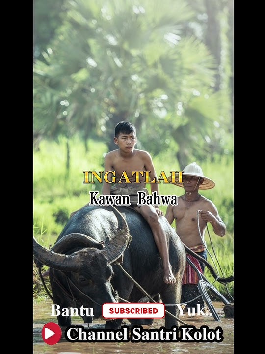 Janganlah Sombong Karena Harta #fypシ #videoshort #shortvideo #viralshort #shortviral #