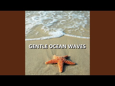 Free Spirited Coastline Ocean Waves