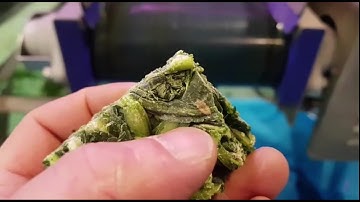 Dryce optical sorting machine for frozen spinach cubes | RAYTEC VISION SpA