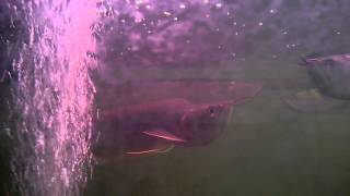 WP 20141022 009