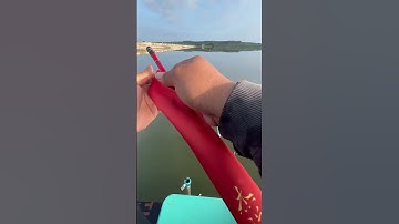 Câu cá rô phi #shorts #cauca