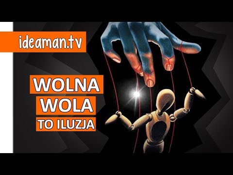 Wideo: Strefa Wolnej Woli - Alternatywny Widok