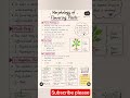 Morphology of Flowering Plants | Complete NEET Biology Revision 🌿Description #biology #neet #class12