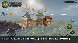 GETTING 80 IN WAO! ||TY FOR POS LEGION!!!!|| ||Wild Animals Online|| screenshot 3