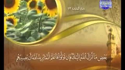 Surat Al Maidah Maher Almuaiqly سورة المائدة ماهر المعيقلي
