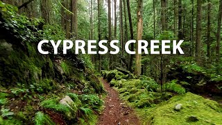 Lush Forest Virtual Hike through Cypress Creek trails in West Vancouver, BC Canada 4K by Walks Of Wonder 5,334 views 2 months ago 1 hour, 28 minutes
