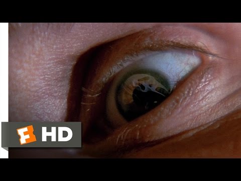 Scream (1996) - School&#039;s Out Scene (6/12) | Movieclips