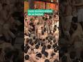 Le festival des HOMMES NUS